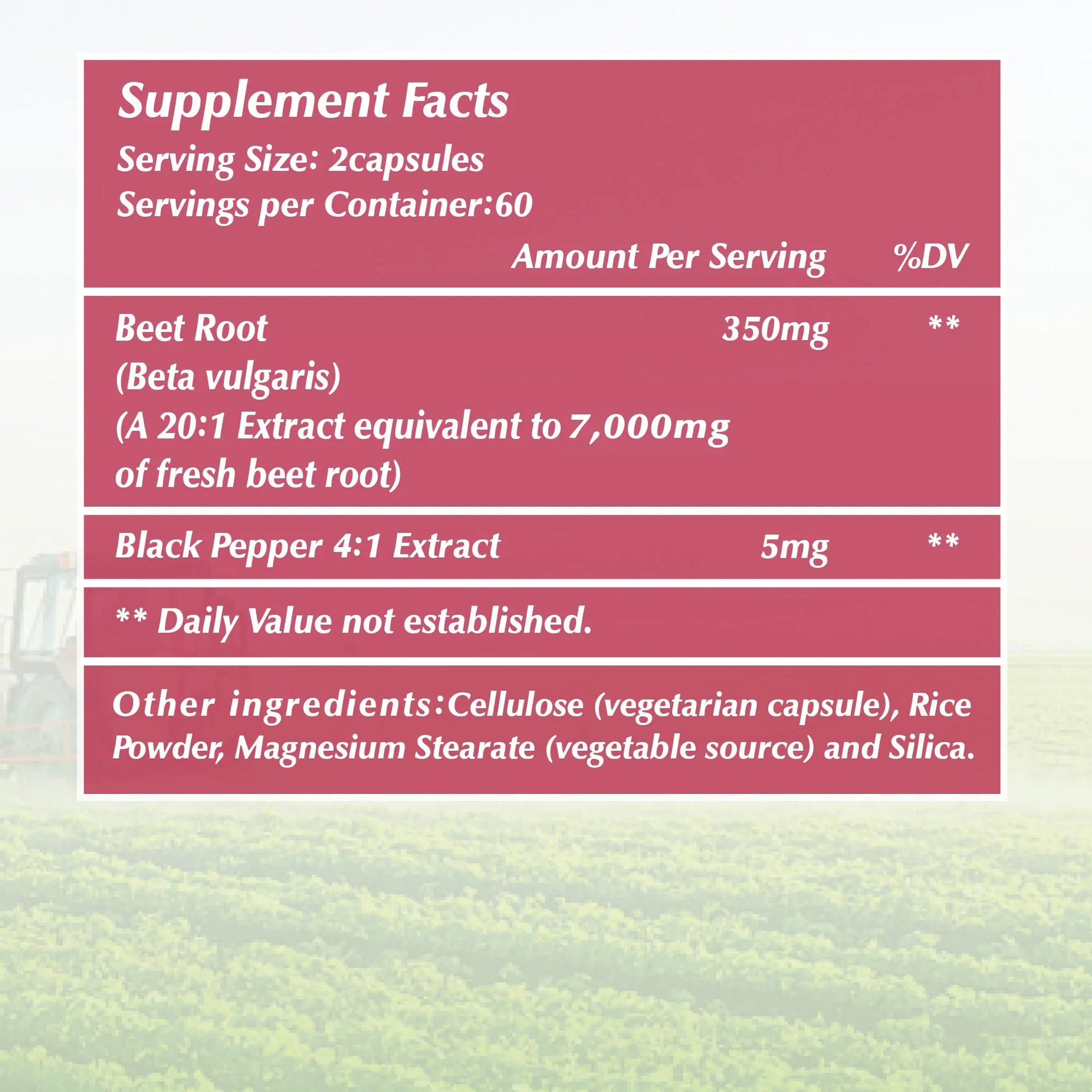 Beet Root Supplement 120 Capsules Supports Blood Pressure Athletic Performance Digestive Health Immune System