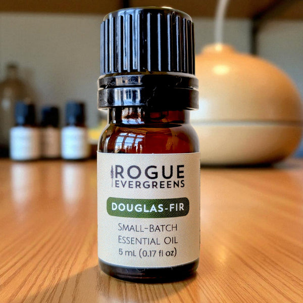 Douglas-Fir Essential Oil – Natural Aromatherapy Oil