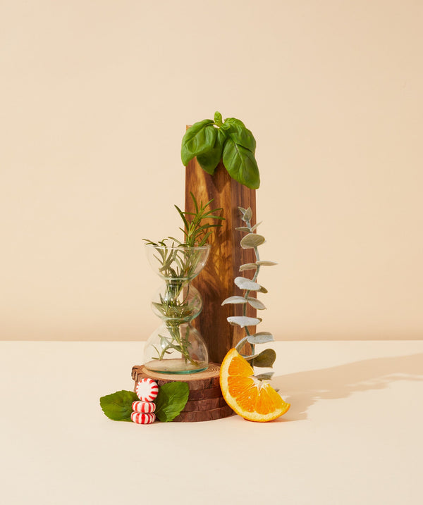 focus essential oil blend